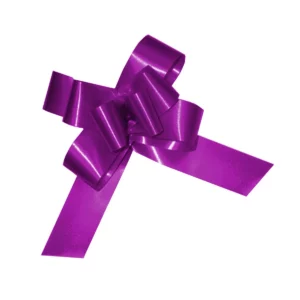 LISTON CELOMAGICO MEDIANO C/50 39 MORADO