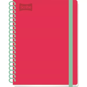 CUADERNO PROFESIONAL 100HJS UNIVERSITARIO RAYA ATADO DE 2 PZAS.