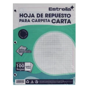 HOJA PARA CARPETA CARTA C/100 C7 ATADO DE 5 PZAS.