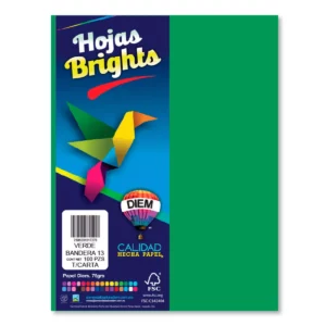 HOJA CARTA FLUORESCENTE C/100 100F13 VERDE BANDERA